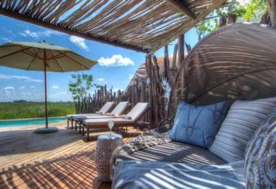 Relax on safari