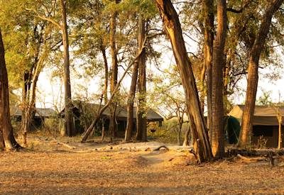 Okavango Footsteps Camp