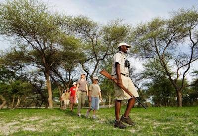 Okavango Family Safari