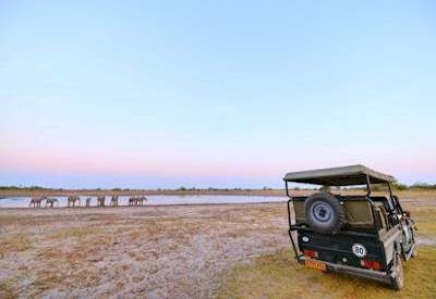 Botswana wildlife safari