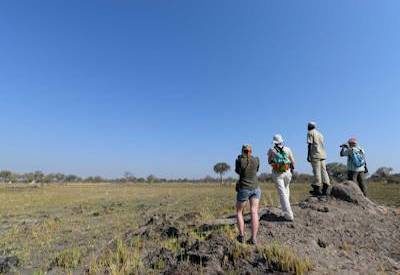 Super walking safaris