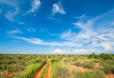 Kalahari Desert