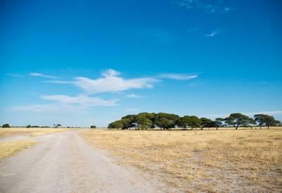 Dirt road driving