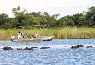 Family Friendly Camp Moremi