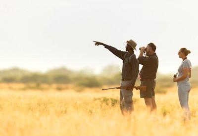 Kalahari Plains Camp Honeymoon