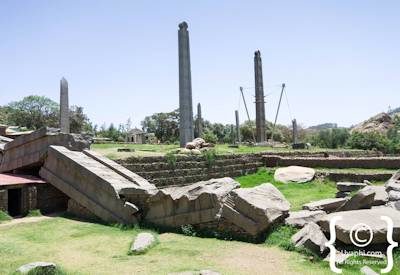Axum Stelae Field