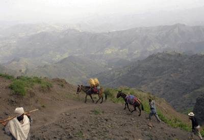 Simien Mountain Trekking