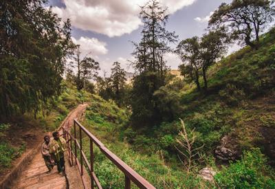 Ethiopia Travel Health