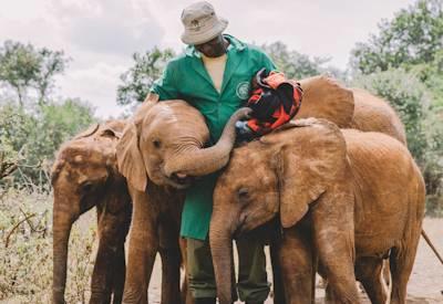 Sheldrick Wildlife Morning Tour