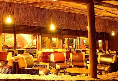 Lounge and bar area