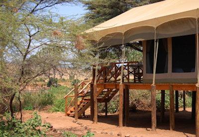 All safari suites are raised on viewsing decks