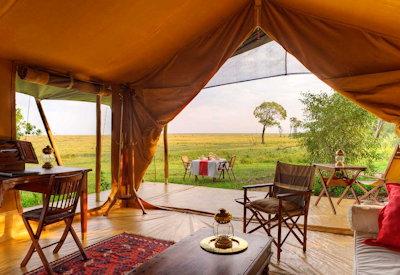 Large spacious safari suites