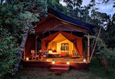 Surrounded by Elephant Pepper trees