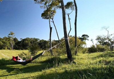 Relaxing on safari in the Masai Mara