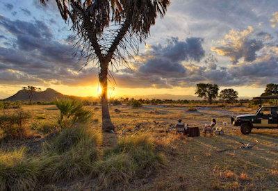 Meru National Park safari drives