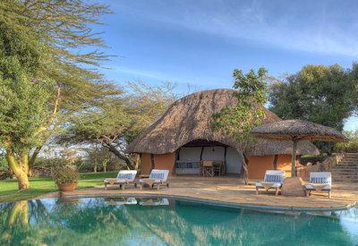 Swimming pool with sun loungers