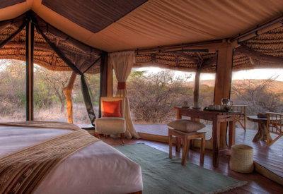 Open fronted safari suites