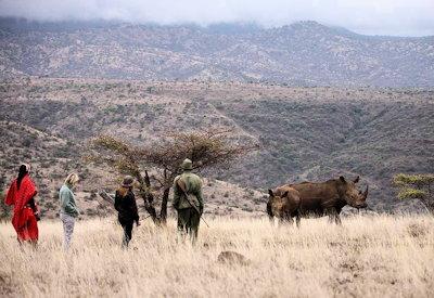Lewa Wildlife Conservancy walking safari