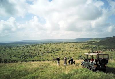 safaris in the Loisaba Conservancy