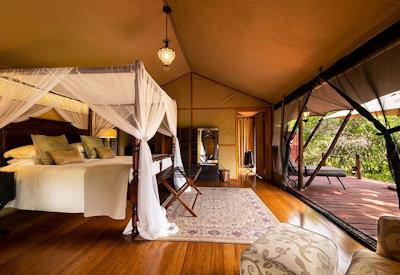 Luxuriously appointed safari suites