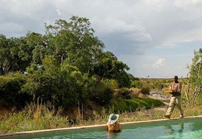 Swimming pool deep in the Masai Mara