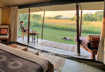 Large tented safari suites