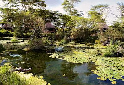 In the Tsavo West National Park