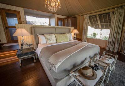 Luxury thatched safari suites