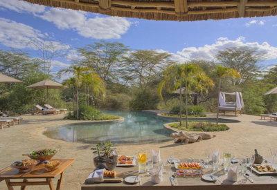 The Finch pool with sun loungers