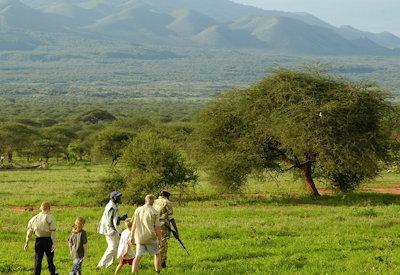 Safari activities in the Tsavo West