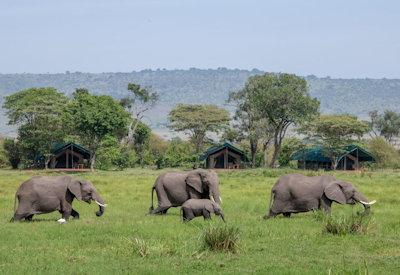 Surrounding wildlife is outstanding
