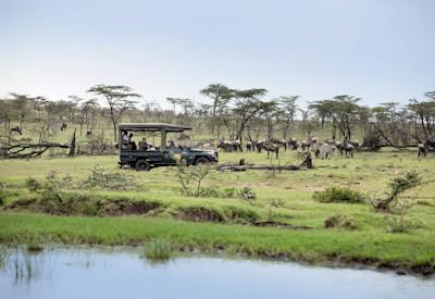 Maasai Mara game drives