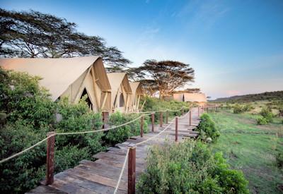 Wooden walkways connect suites