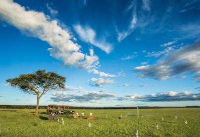 Picnic lunch on the Masai plains