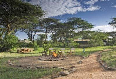 Porini surrounded by Acacia trees
