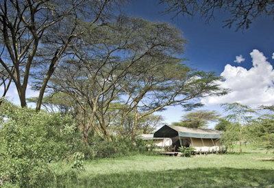 The camp is surrounded by the Masai Mara
