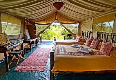 The large familt tent option