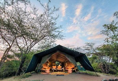Surrounded by wildlife and birdlife