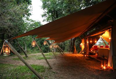 Mara Toto surrounded by a thick forest