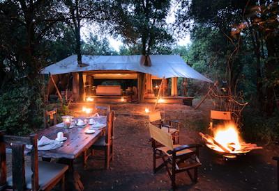 Dinning at camp surrounded by forest