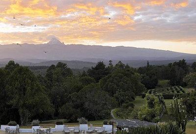 Mt Kenya as seen from the resort