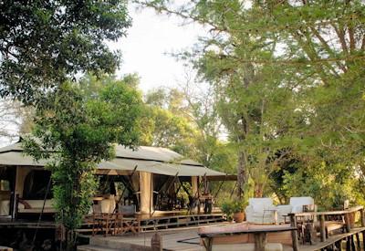 Serian Alex Walker's safari experience