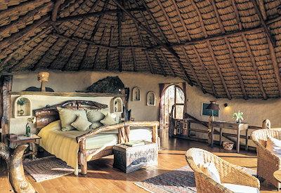 Large and classic safari suites