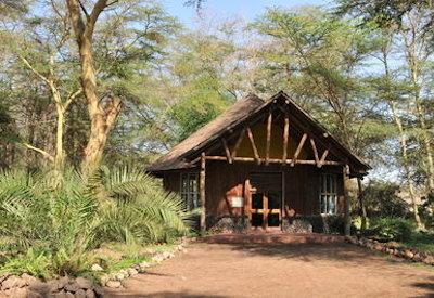 Thatched safari rooms