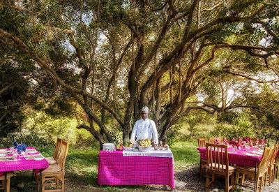 dining in the Ol Pejeta Conservancy
