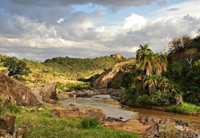Ewaso Nyiro River and her wildlife