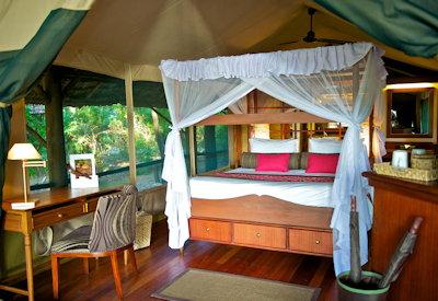 Beautifully appointed safari tents