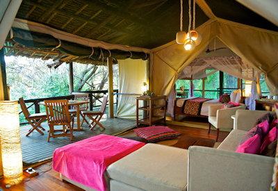 Intrepids family safari suite
