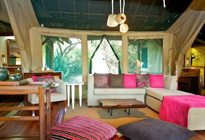 Main lounge area and libruary