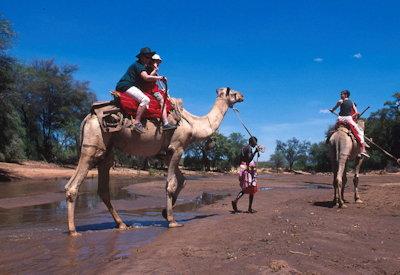 Samburu camel safaris